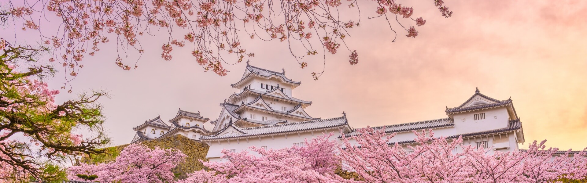Japan Tours — Cherry Blossom Season
