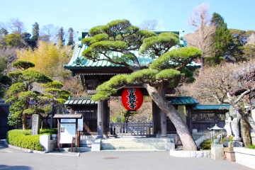 Kamakura