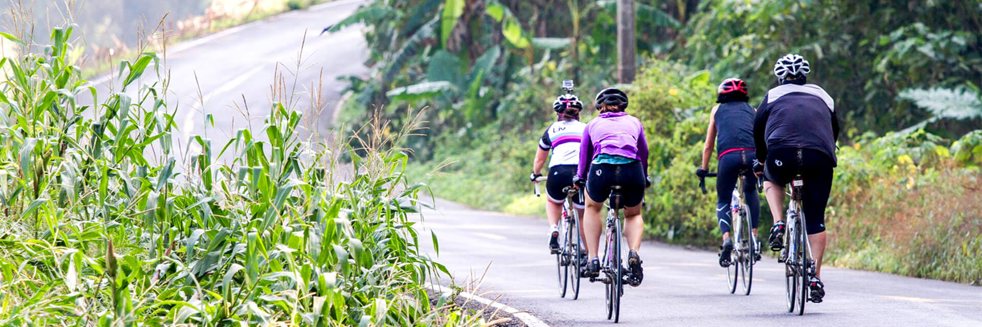 Explore Bangkok in-depth by Bike