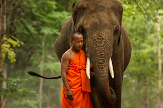 Thai Culture & Elephant Eco Tour