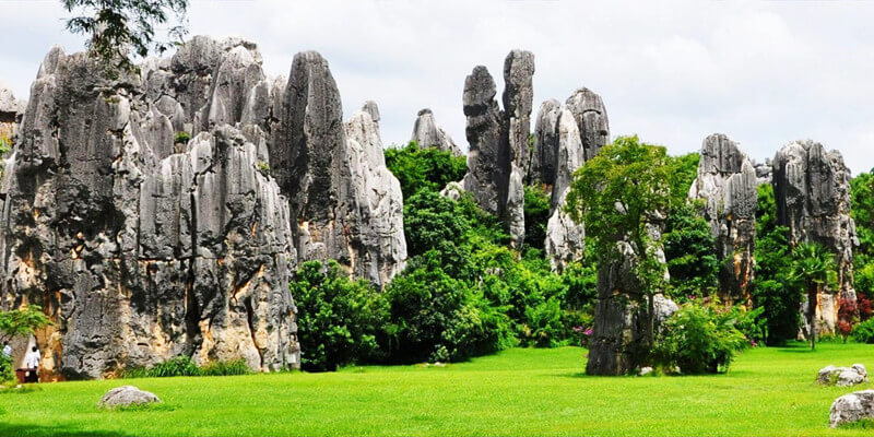 Stone Forest
