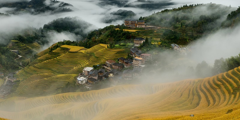 The Rice Terraces in Longji village