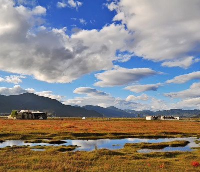 Napahai Natural Lake Reserve