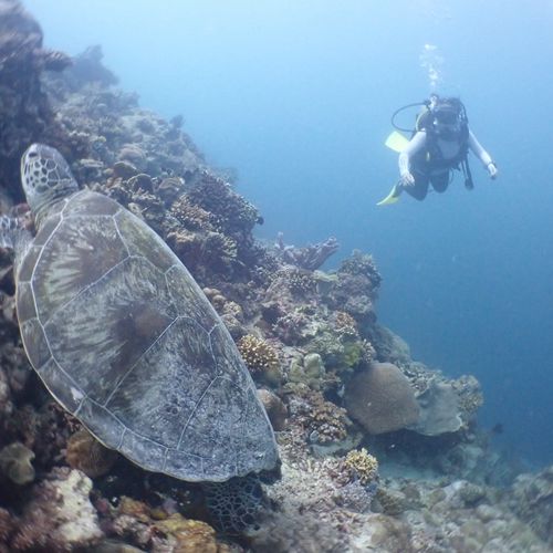 5 深海潜水