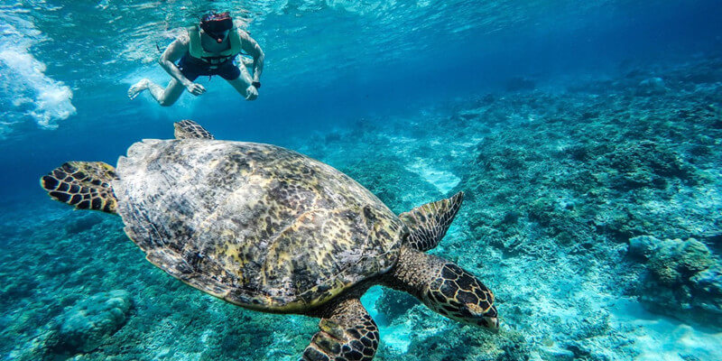 Nusa Lembongan Snorkeling