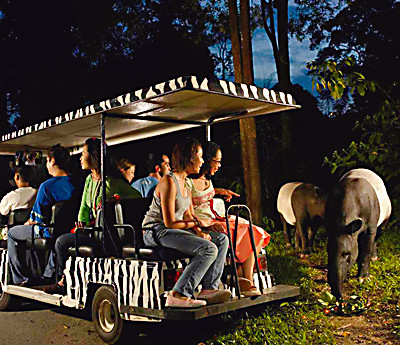 Night Safari with dinner