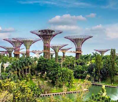 Singapore Botanic Gardens