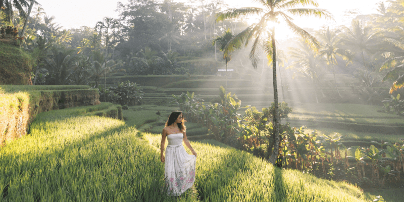 Tegalalang Rice Terraces