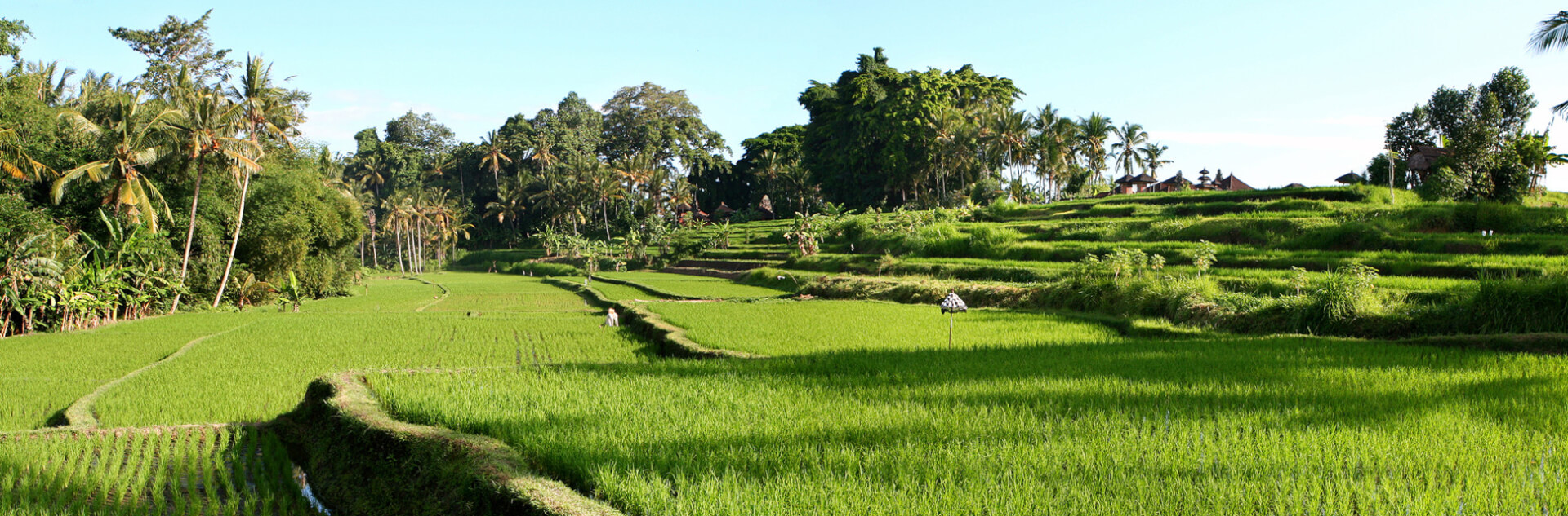 Dream Bali Honeymoon