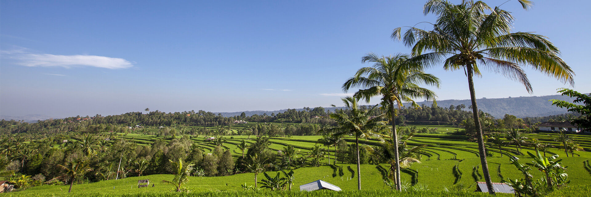 Luxury Bali Honeymoon