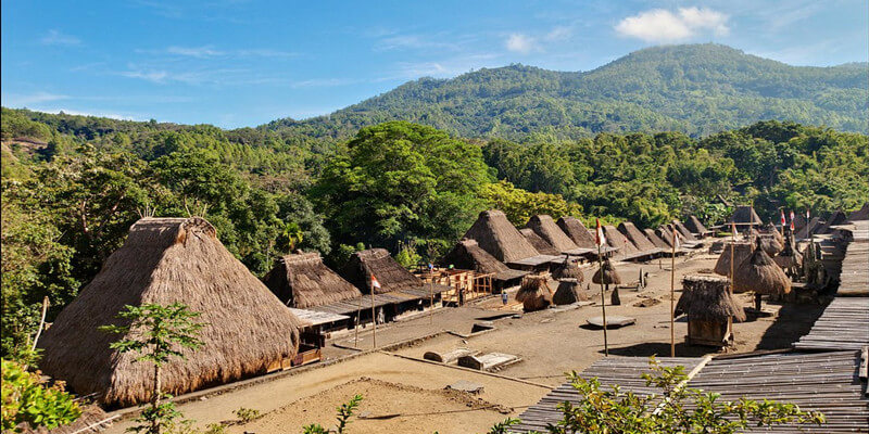 Megalithic Village of Bena
