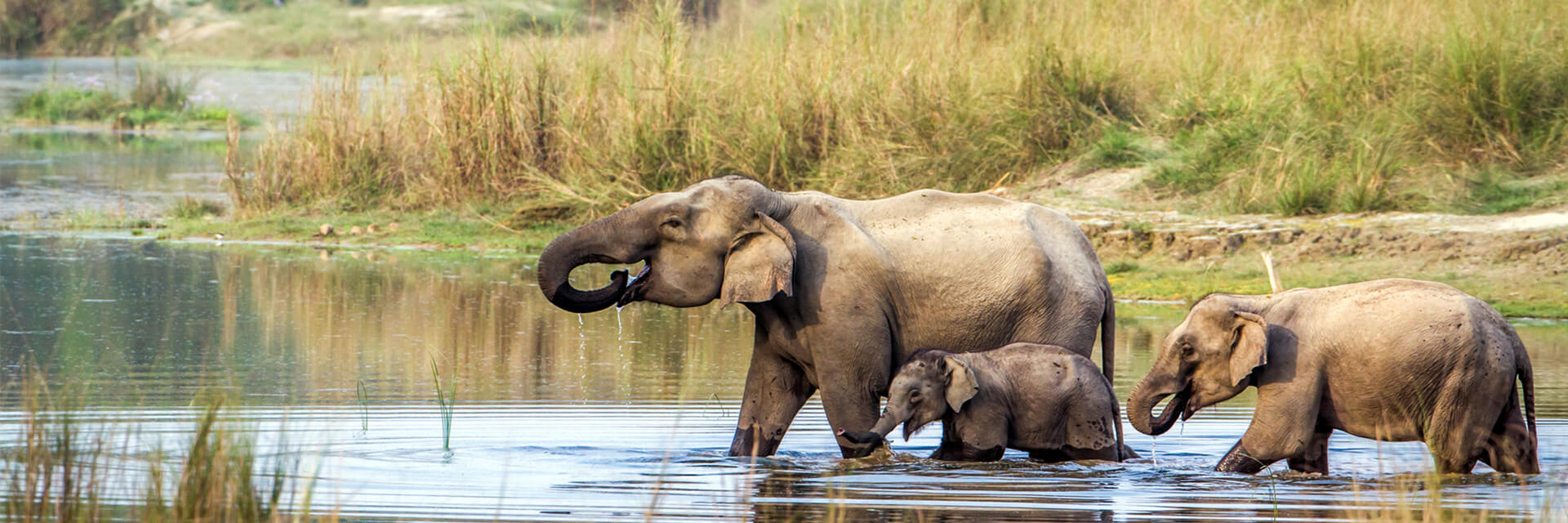 Exciting Nepal Family Trip