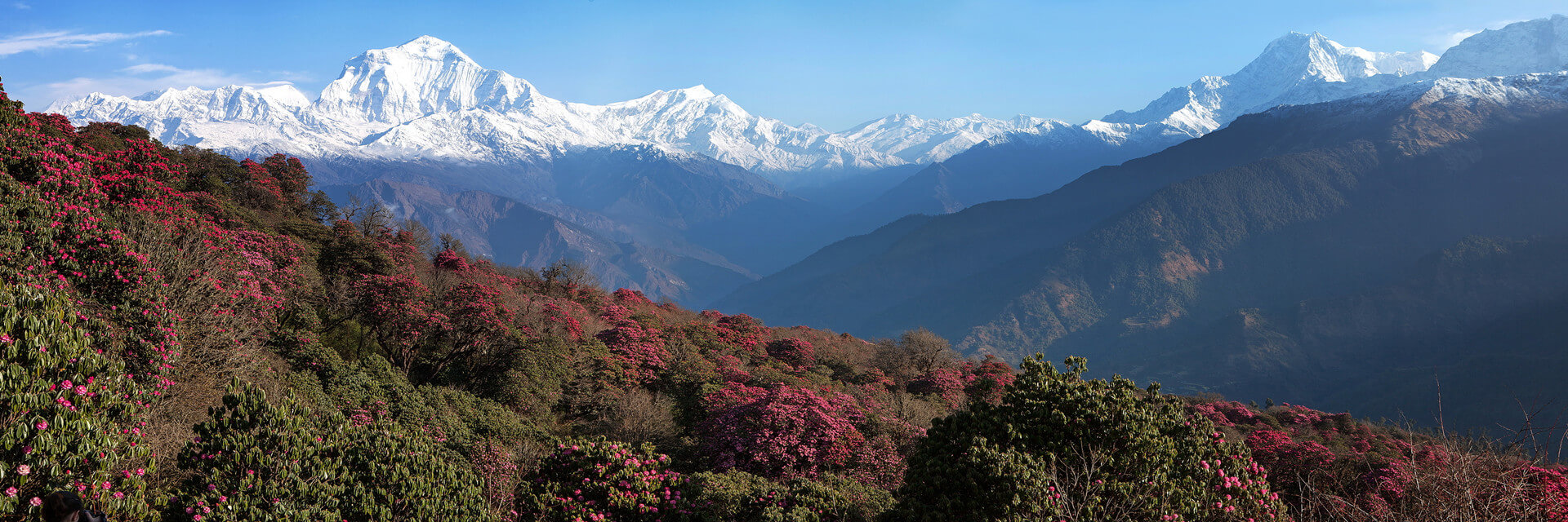 Nepal Poon Hill Trek Tour