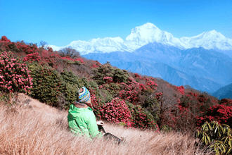 Nepal Poon Hill Trek Tour