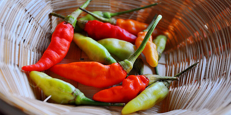 Hot Thai chili pepper and its heat content