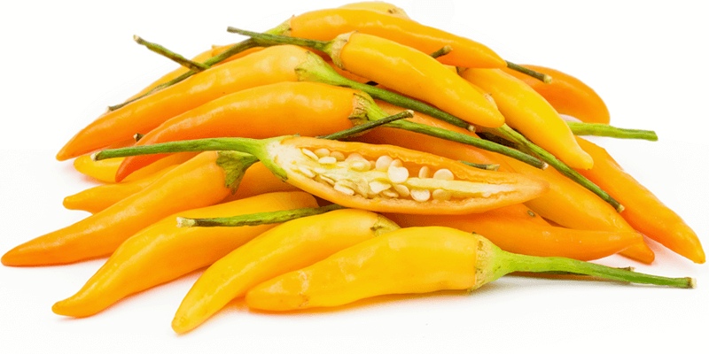 Hot Thai chili pepper and its heat content