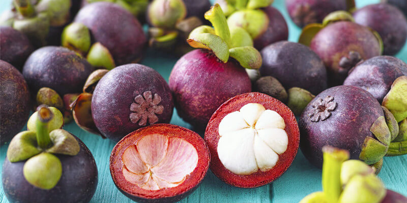 Mangosteen