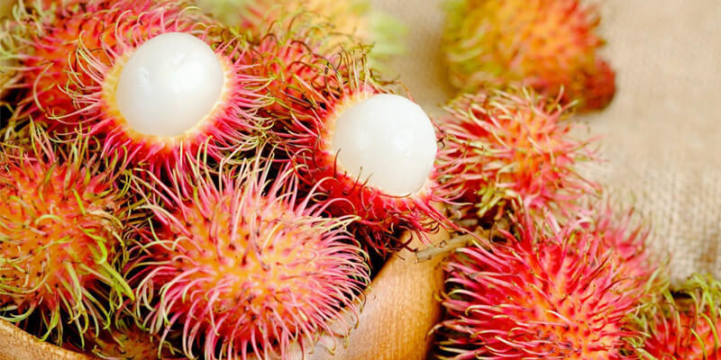 Rambutan