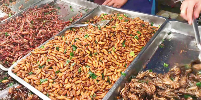 Thai-Fried-Insects