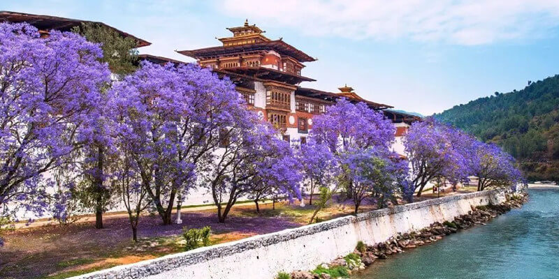 Punakha Dzong