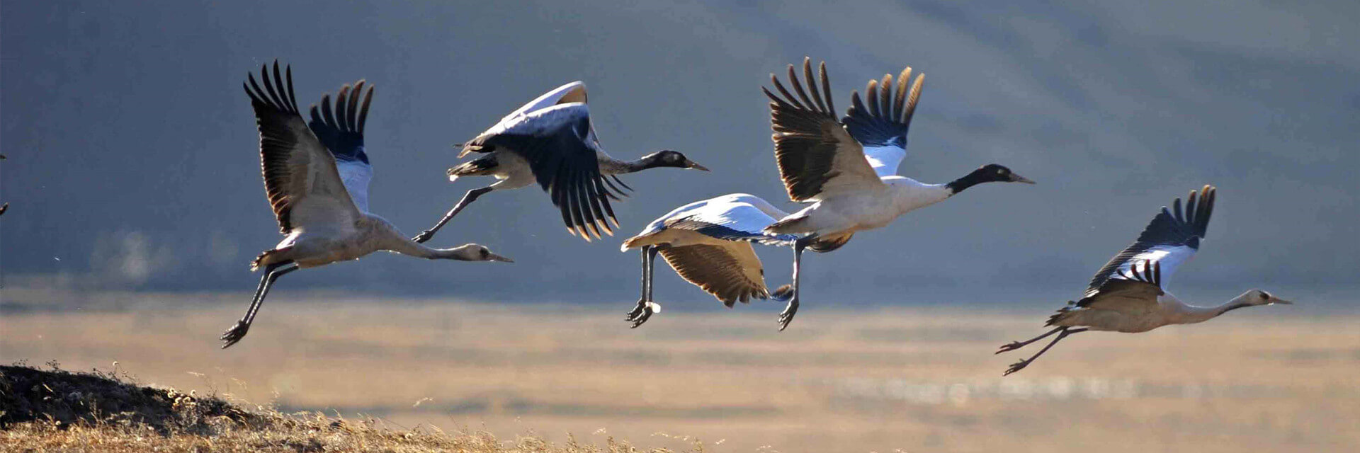 Bhutan Family Holiday