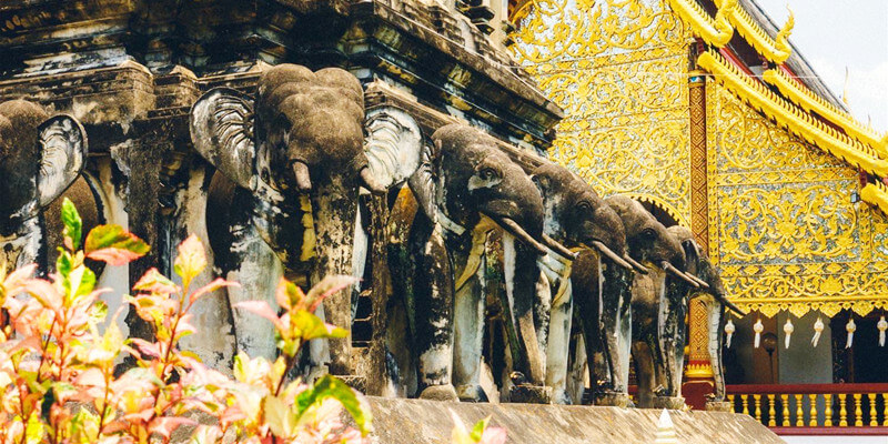 Elephant-Statue-of-Wat-Chiang-Man