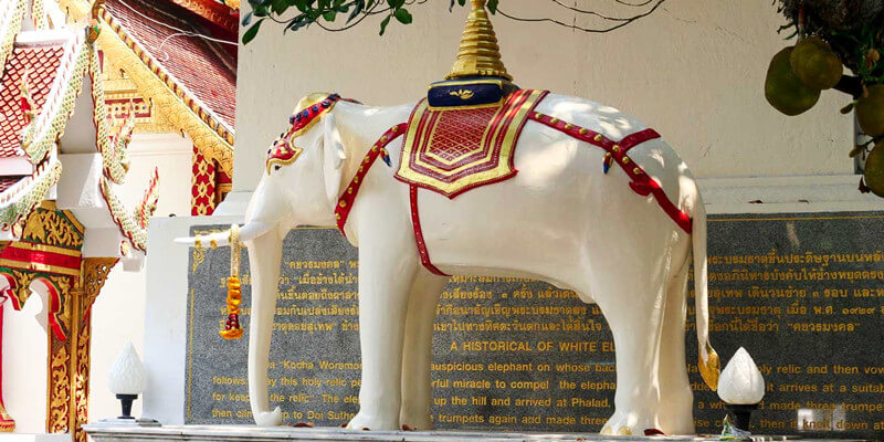 White-Elephant-Statue-at-Wat-Phra-That-Doi-Suthep