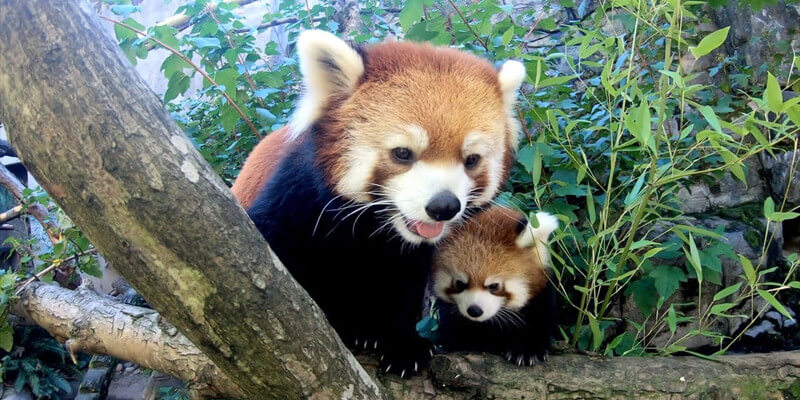 Bumdeling Wildlife Sanctuary