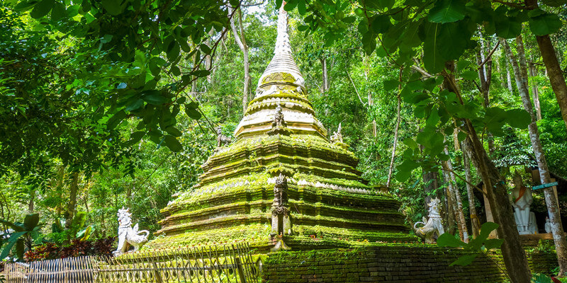 Stupa-in-Jungle