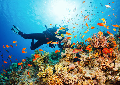 diving-in-phuket