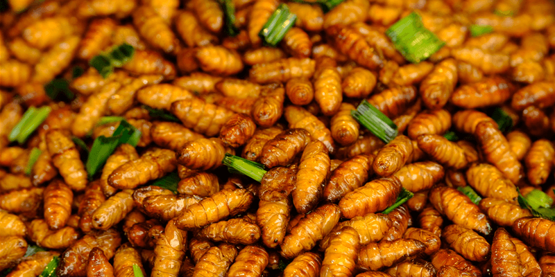 Fried-Insects