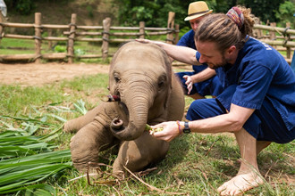 Elephant-Volunteer-in-Thailand