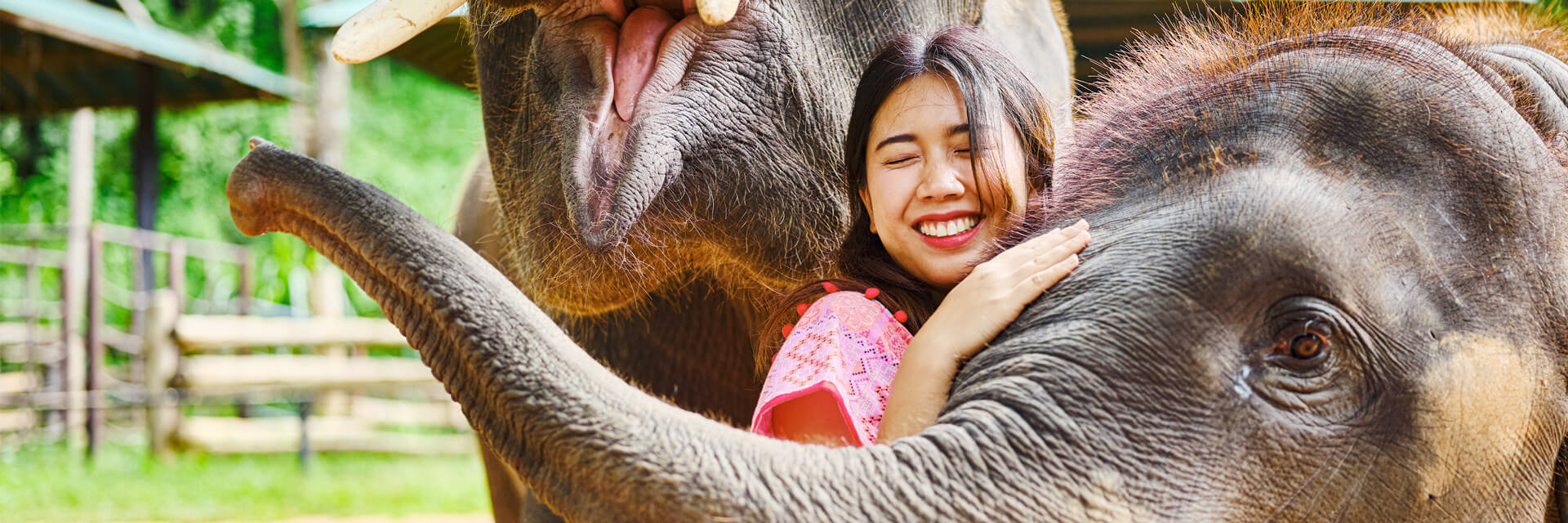 Elephant-Jungle-Sanctuary-Thailand