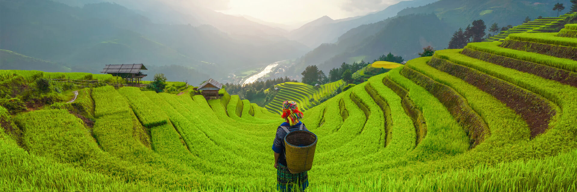 Vietnam-Rice-Terraces