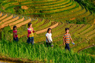 Vietnamese-Children-On-Rice-Field