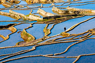 Yuanyang-Rice-Terraces-1