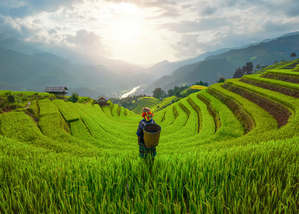 Rice-Terraces-of-North-Vietnam