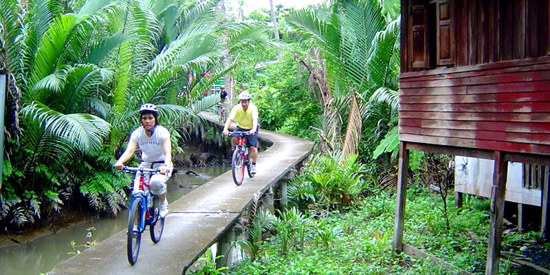 Jungle-Cycling-in-Bangkok