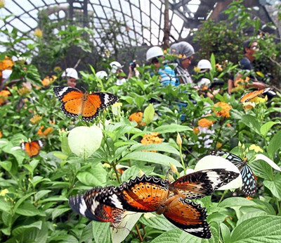 Penang Botanical Garden