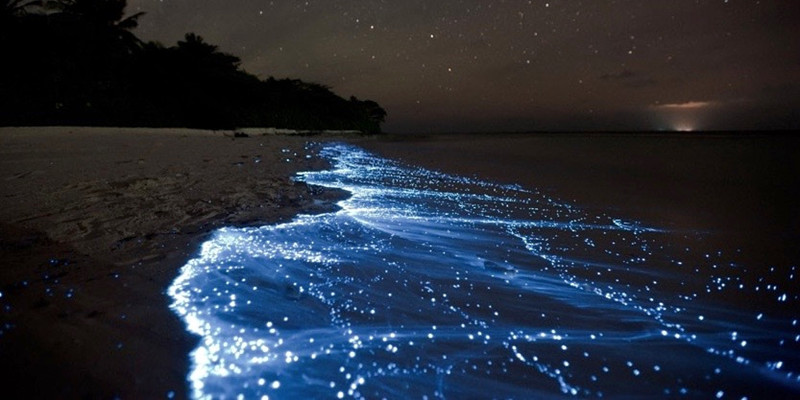 bioluminescent tour thailand