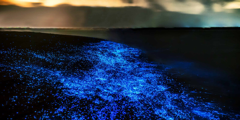 bioluminescent tour thailand