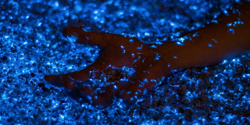 Bioluminescent-Plankton-in-Koh-Phi-Phi