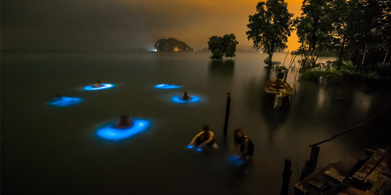 bioluminescent tour thailand