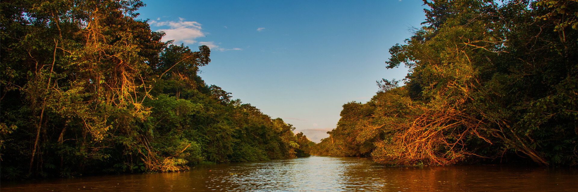 Borneo Nature & Wildlife Tour