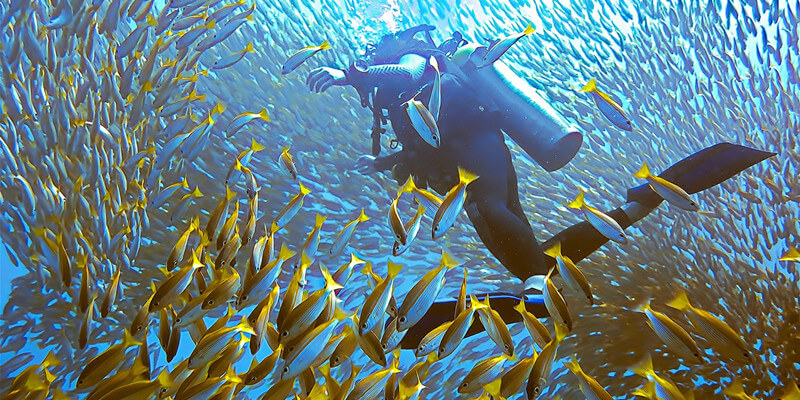 Diving-in-Maya-Bay