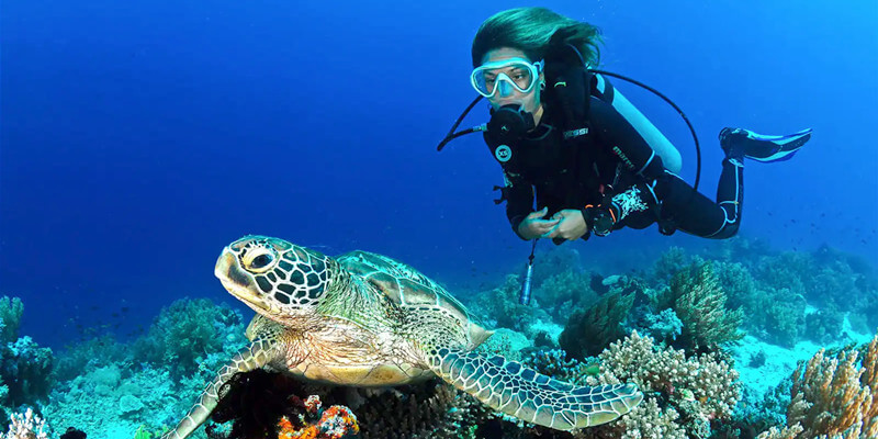 Diving-in-Koh-Samui