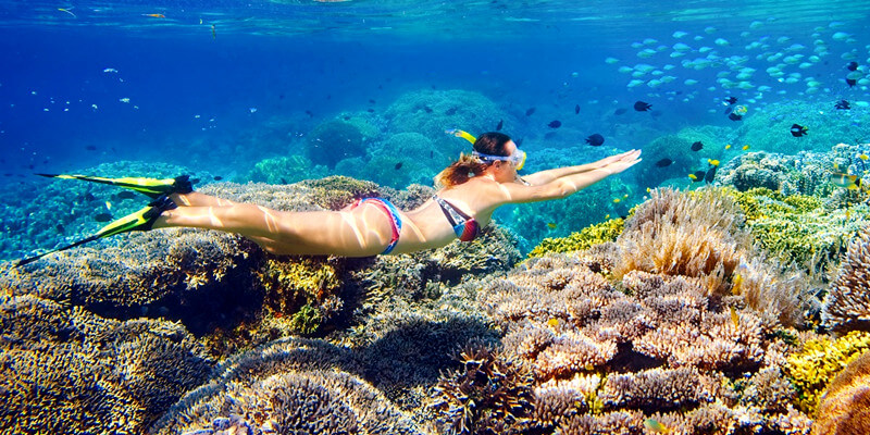 Snorkelling-on-Koh-Nang-Yuan