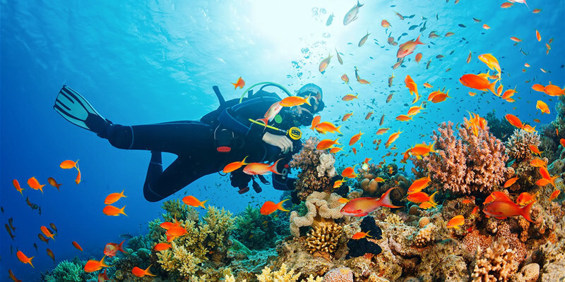 Diving-at-Koh-Nang-Yuan