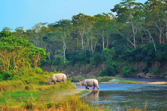 Essential Nepal Tour