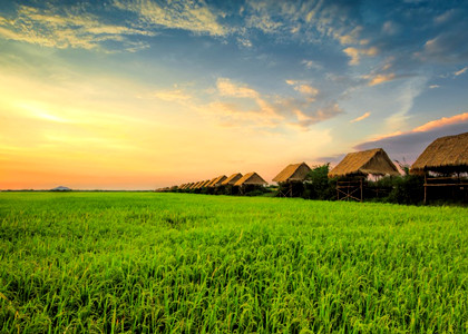 Cambodia-Countryside